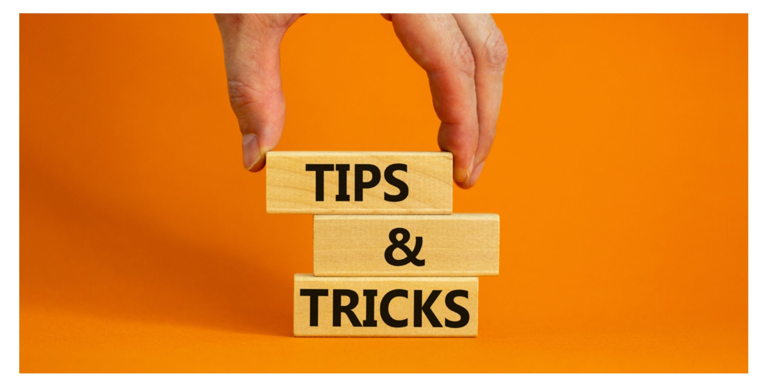 MixCollage-14-Nov-2025-10-23-AM-2740